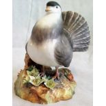 A Royal Crown Devon porcelain figure of a fantail pigeon.