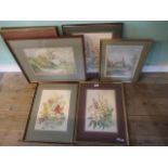 A collection of seven framed and glazed watercolours, to include five floral studies,