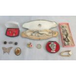 A mixed lot of costume jewellery, including a lizard brooch, hedgehog brooch,