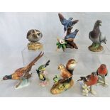 A collection of eight various pottery bird subjects by Goebbels, Crown Derby and Ainsley,