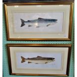 A pair of 20th century framed and glazed watercolours, fish studies, salmon and brown trout,