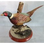 A model of a pheasant entitled 'Autumn Majesty' from the Great Game Birds of Britain collection by
