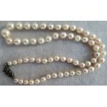 A single strand cultured pearl choker