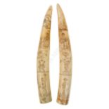 Ø A PAIR OF 19TH CENTURY SCRIMSHAW DECORATED AMERICAN WALRUS TUSKS