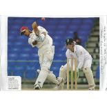 Cricket signed collection. 31 signatures. Signatures come in varying forms such as signed