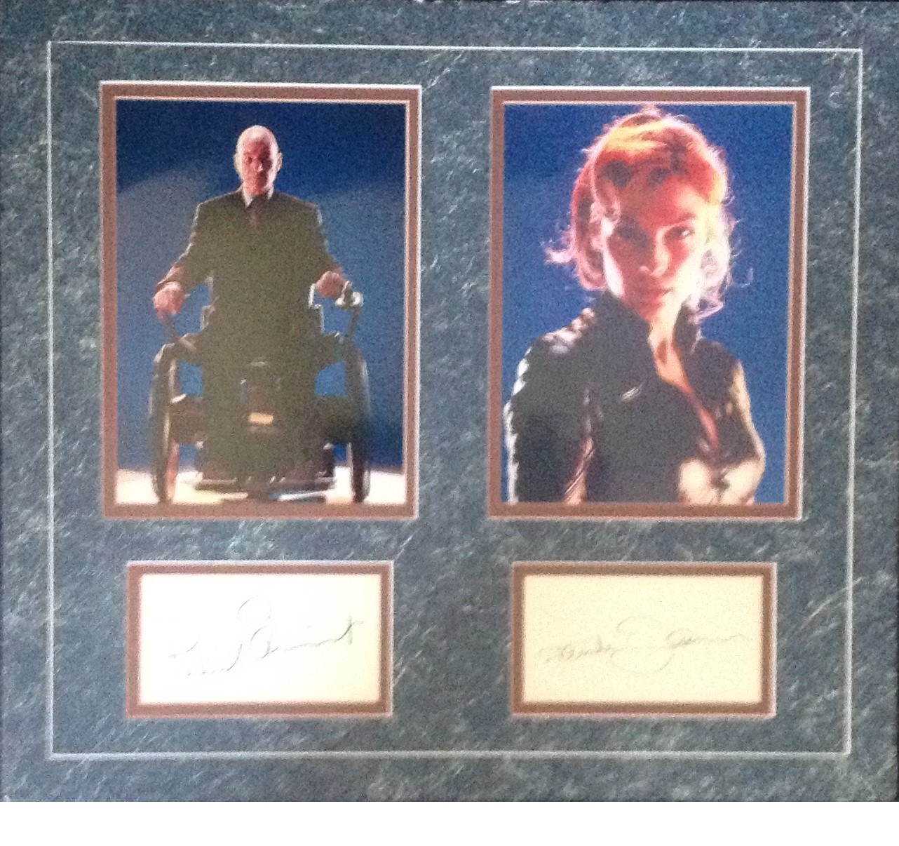 X Men 16x18 overall signature piece signed by Patrick Stewart and Famke Janssen includes two 8x6