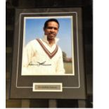 Cricket Sir Garfield Sobers 18x14 framed signature including signed colour photo of the great