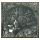 § Nan Youngman, OBE (British, 1906-1995) Sleeping Cat 2 signed lower right "Nan Youngman 1970" and