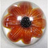 A modern Daum glass paperweight, the clear cased domed weight encapsulating an amber flower head,