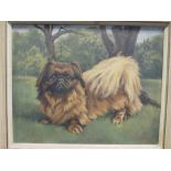 J Wheeler, study of a Pekinese dog, signed dated 1960, oil on canvas 39 x 49cm