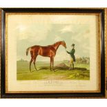 Three 19th Century Derby winners. Ayrshire, Winner of the Derby Stakes at Epsom 1888, coloured