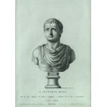 Five engravings of Roman Emperors after G. A. Faldoni. Including Caligula, Vespasian, and P.