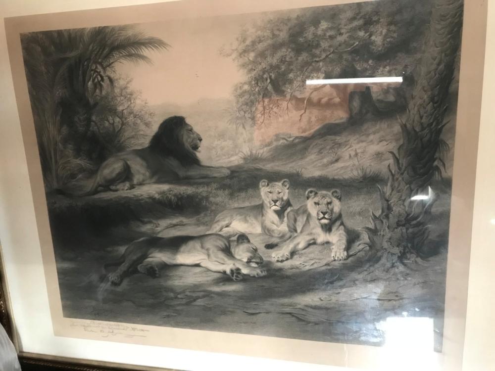 Joseph Pratt after Rosa Bonheur, A Pride of Lions, proof engraving published by Lefevre 1894, signed