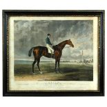 Six coloured aquatints of race horses after J. Herring, C. Hancock and others. Including Priam,
