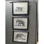 A collection of animal prints including elephant and other animals 35 x 40cm (6)