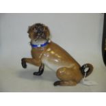 A German porcelain model of a seated pug