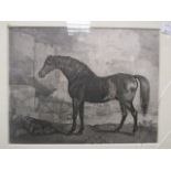 After George Stubbs, Racehorse and Jockey, Godolphin Arabian, and Lurcher - engravings (3)