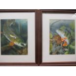 Maurice J Pledger (British, b. 1955), a pair of watercolours of fish, signed "M J Pledger" lower