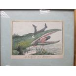 Group of pictures to include a print Lawyer & a Sawyer; botanical drawings, signed etchings, P.