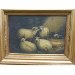 Albert Jackson of Leeds (British, 19th century) A pair - sheep in a barn, oil on card, signed