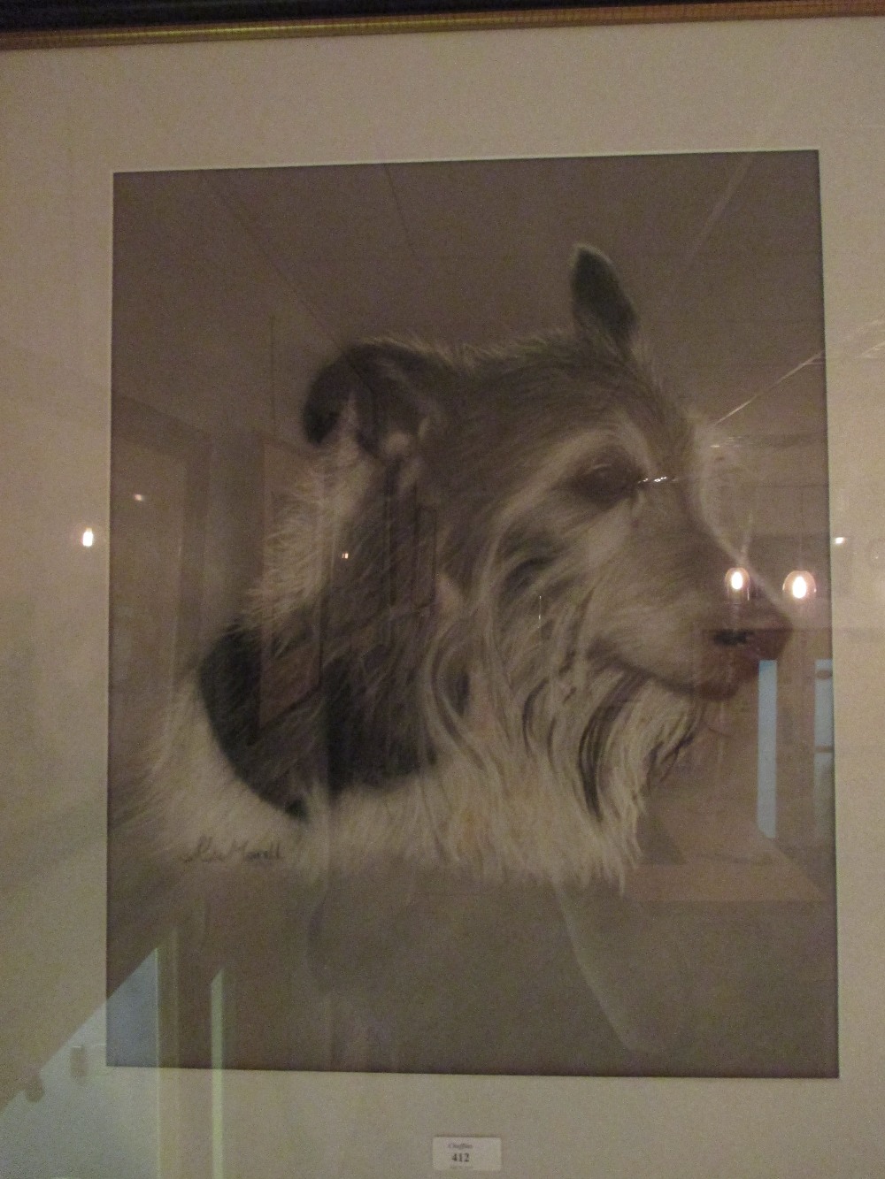 Kate Morrell (British, 20th century) Portrait of a collie dog 'Blackie' signed, charcoal and pastel,