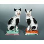 A pair of 19th century Staffordshire models of seated cats, 19cm high