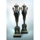 A pair of 19th century French bronze and gilt metal mounted lamps, the tops of the black slender