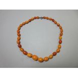 A butterscotch amber bead necklace, the graduated oval 9-17mm long beads of varying shades,