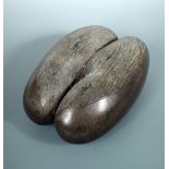 A coco de mer, the two lobes polished on one side and rough on the other, 32cm (12.5 in) wide