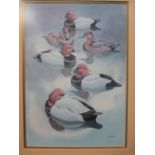 Noel William Cusa (1909 - 1990) Pochards, signed, watercolour, 54 x 32cm