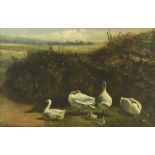 James Smetham (British, 1821–1889) Geese in a landscape signed lower left "J Smetham" oil on