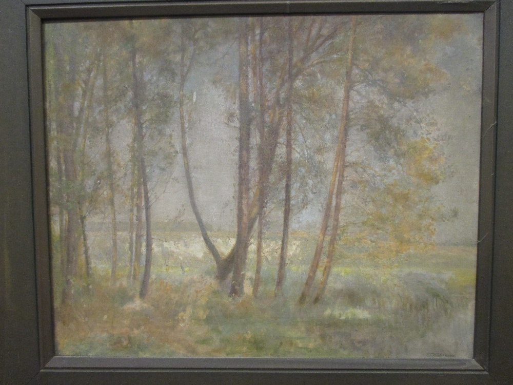 W P Dickson (early 20th Century) Landscapes with trees, two works, signed, oil on canvas, 40 x 50, - Image 2 of 3