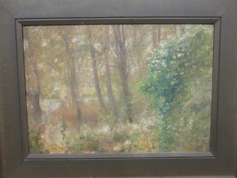W P Dickson (early 20th Century) Landscapes with trees, two works, signed, oil on canvas, 40 x 50,
