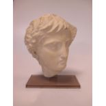 Two replica casts from the Parthenon frieze, 'Tete d'Ephebe and 'Procession'; 'Head of a Youth in