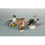 A Meissen model of a turkey, naturalistically modelled and coloured, crossed swords mark in blue and
