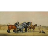 Henry William Standing (British, fl. 1894-1931) Three standing Shire horses in show plaits, signed