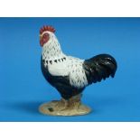 A Beswick pottery Sussex Cockerel, MN.1899, black, white and pink, gloss, 7¼in (18.5cm) high.