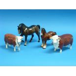 A Beswick pottery Hereford Bull 'Champion of Champions', MN.1363, horns pertrude from ears, brown