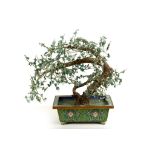 A Chinese model of a bonsai tree, 20th Century, the bronze planter with cloisonne decoration, the