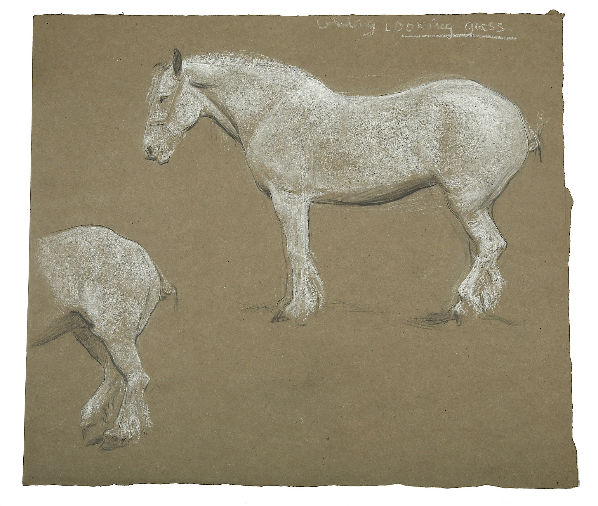 ESTELLA LOUISA MICHAELA CANZIANI (ENGLISH 1887-1964) ARR A Sheet of Studies of a White Horse - Image 2 of 3