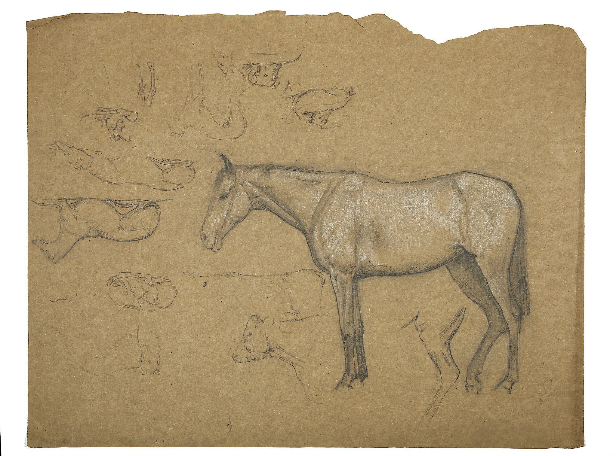 ESTELLA LOUISA MICHAELA CANZIANI (ENGLISH 1887-1964) ARR A Sheet of Studies including a Horse, - Image 2 of 2