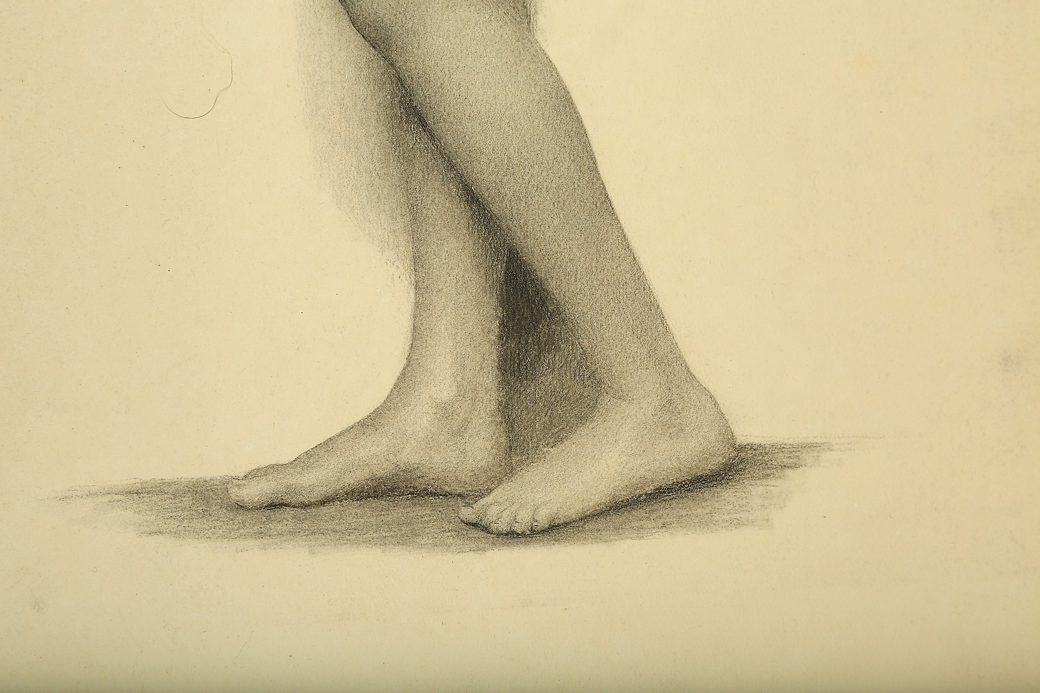 ESTELLA LOUISA MICHAELA CANZIANI (ENGLISH 1887-1964) ARR Standing Beauty Charcoal on buff paper 76 x - Image 5 of 5