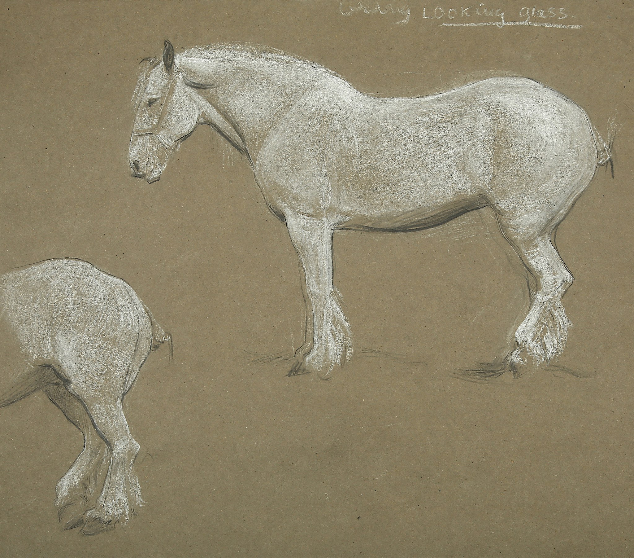 ESTELLA LOUISA MICHAELA CANZIANI (ENGLISH 1887-1964) ARR A Sheet of Studies of a White Horse