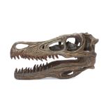 A REPLICA VELOCIRAPTOR SKULL  A museum quality model of a velociraptor skull, 25.5cm long, 13.5cm