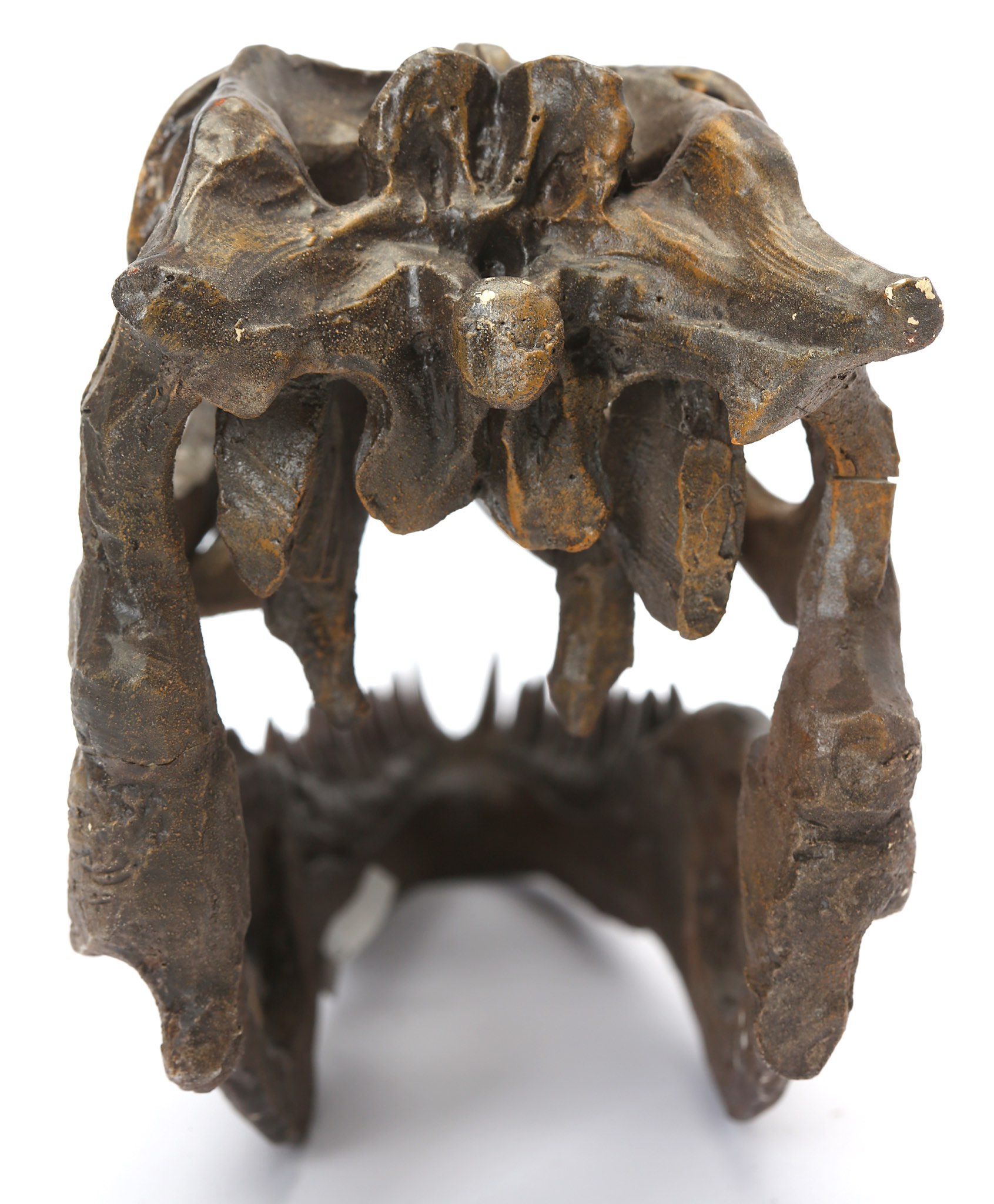A REPLICA VELOCIRAPTOR SKULL  A museum quality model of a velociraptor skull, 25.5cm long, 13.5cm - Image 3 of 4