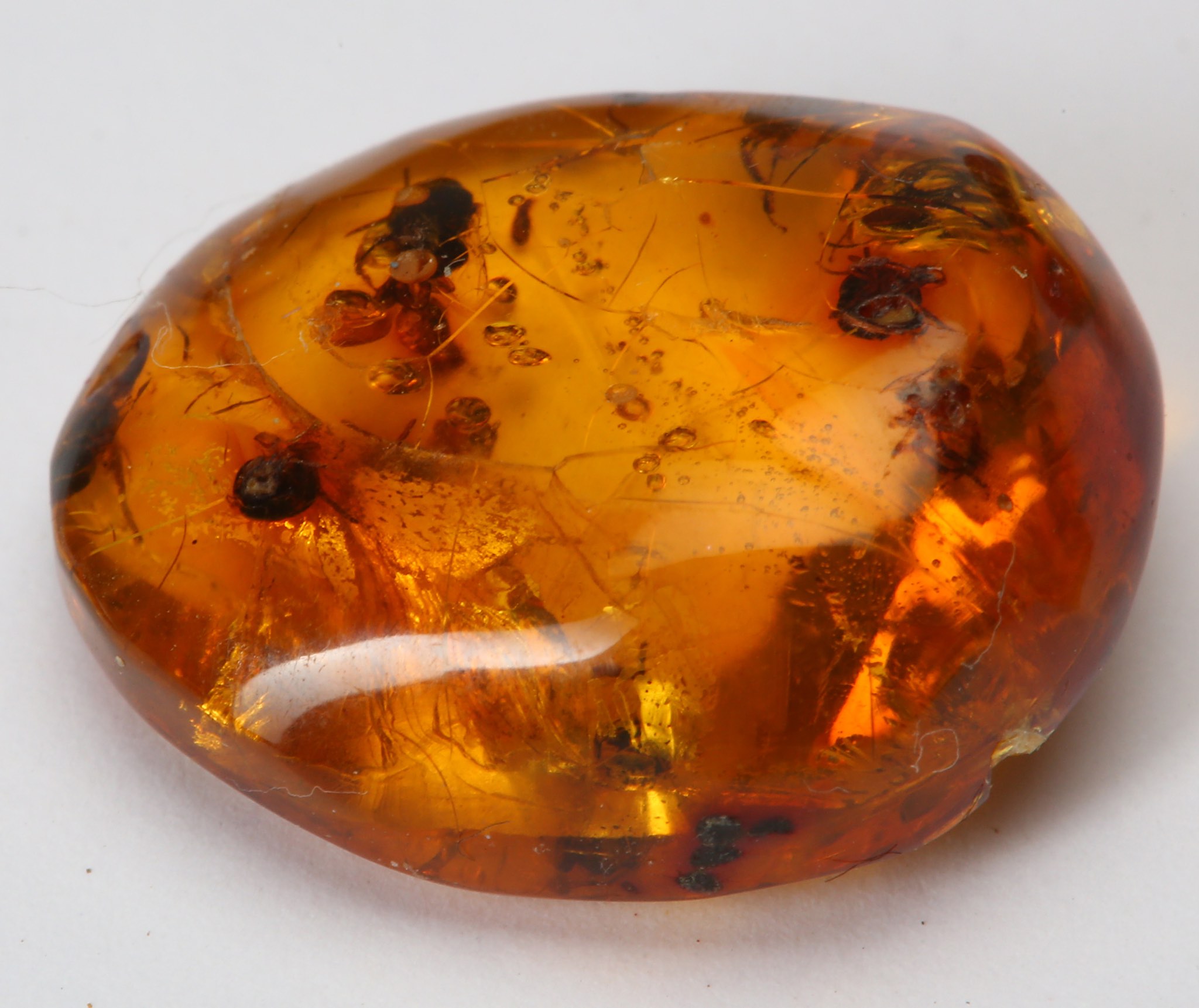 A GROUP OF AMBER FRAGMENTS 1cm - 2.1cm long, (10) Footnotes: Amber has been considered to be as - Image 2 of 3
