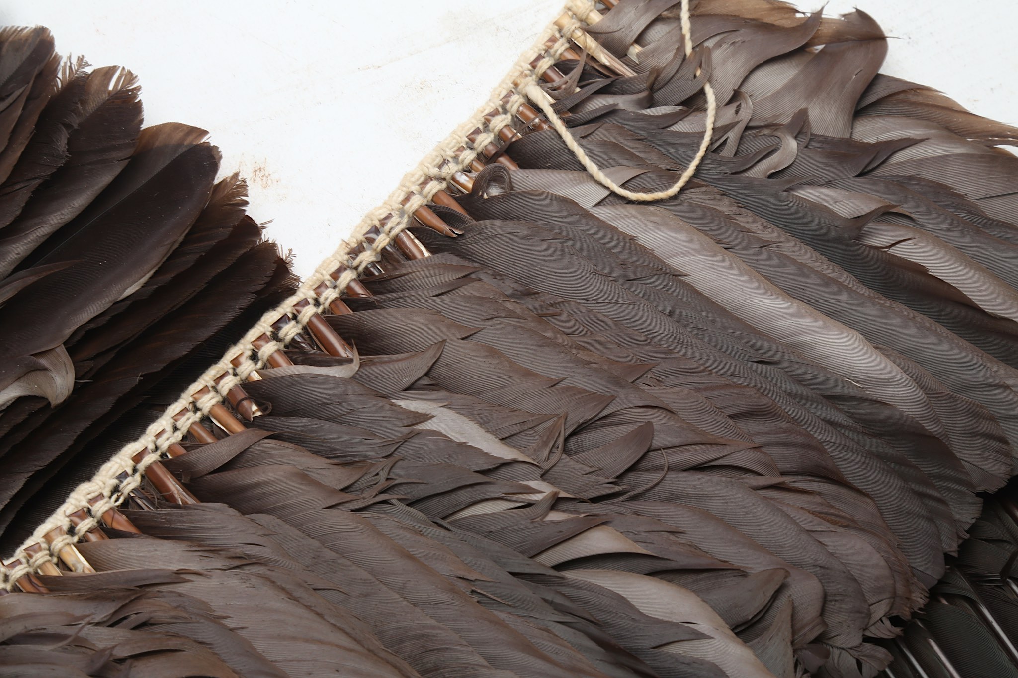 AN AMAZONIAN HEADDRESS Of typical form with a band of cream bound cotton onto which the - Image 4 of 7