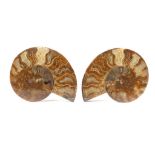 TWO CUT AND POLISHED AMMONITE HALVES Both 12cm wide, (2)  Footnotes: Ammonites are extinct