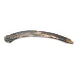A WOOLLY MAMMOTH RIB BONE  61cm long, Footnotes:The wooolly mammoth is one of the most well-known