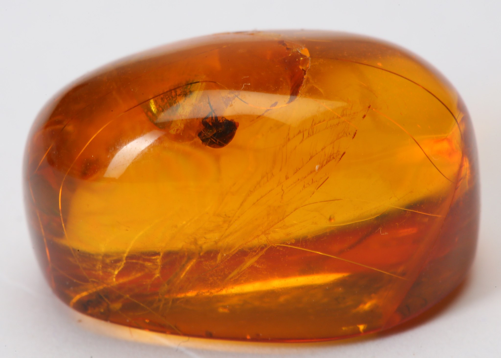 A GROUP OF AMBER FRAGMENTS 1cm - 2.1cm long, (10) Footnotes: Amber has been considered to be as - Image 3 of 3